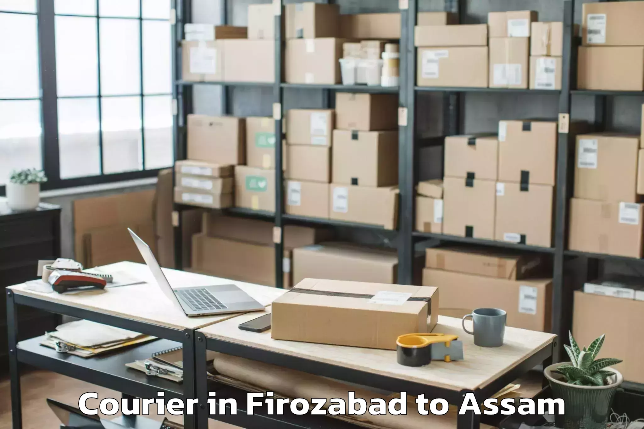 Hassle-Free Firozabad to Dokmoka Courier